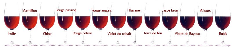 vins_rouges.jpg