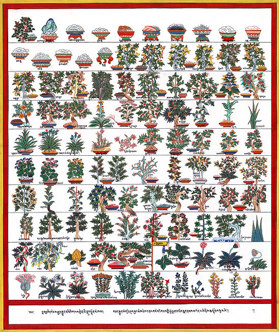 THANGKA plantes médicinales.jpg