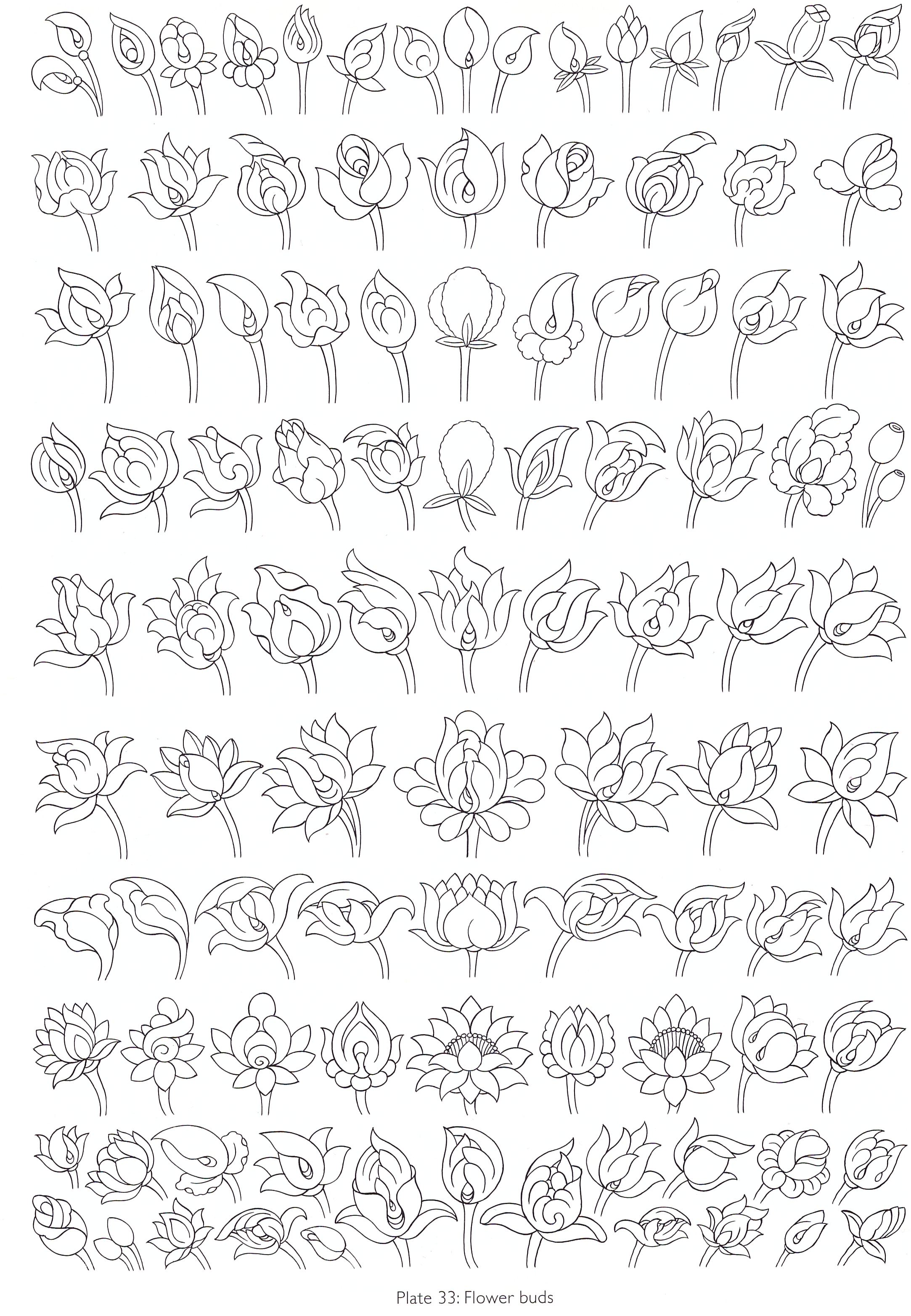 Robert Beer - planche 33 - fleurs en bouton.jpeg