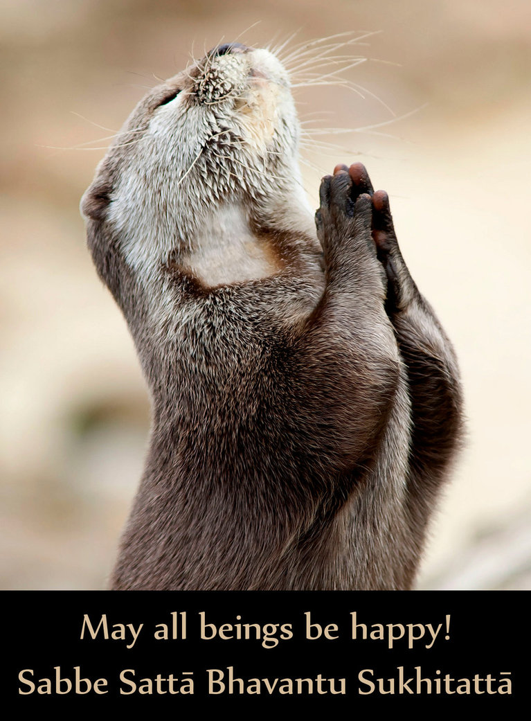 otter__s_pray_by_hanciong-d5q3xl8.jpg