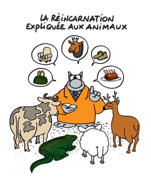 réincarnation-animaux.jpg